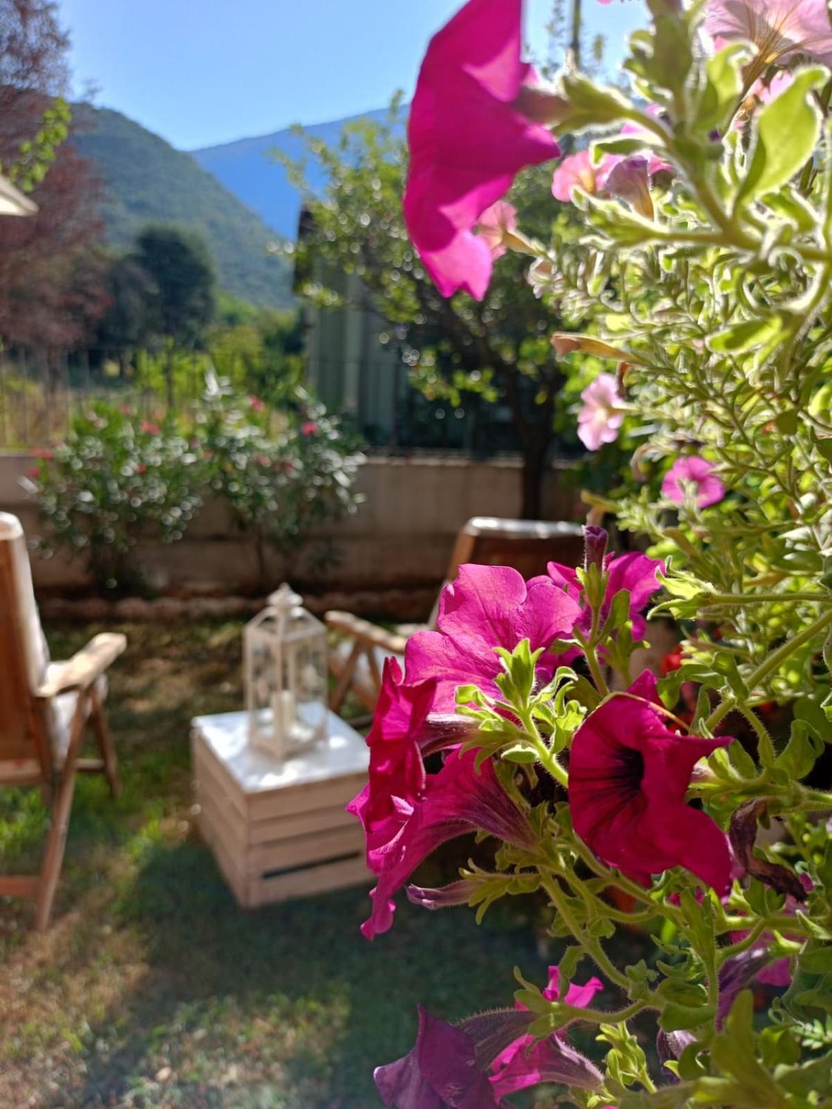 La Civetta Appartamento Con Giardino E Parcheggio Nave  Exterior photo